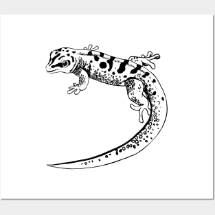 gecko Posters and Art